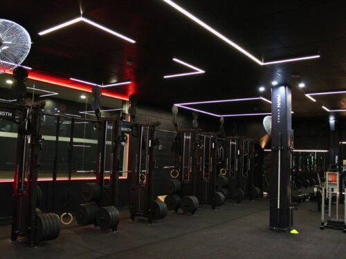 Y Auckland Gym 1