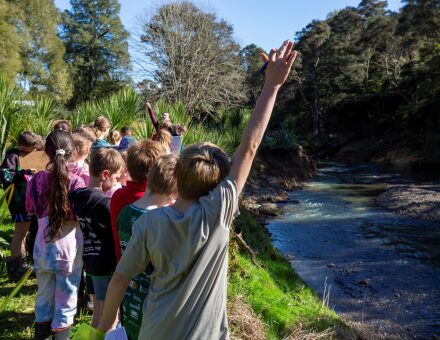 Story 2 Arohanui i December 2025