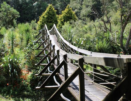 Story 3 Arohanui March 2026