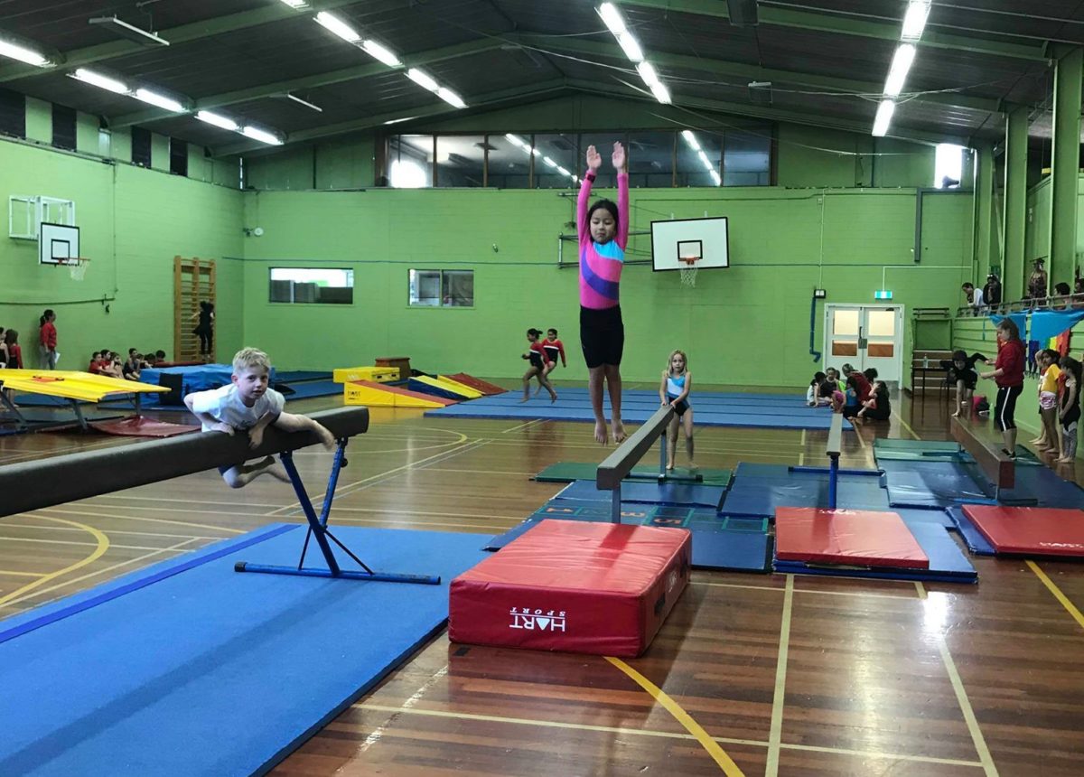 Y Gymnastics Ymca North