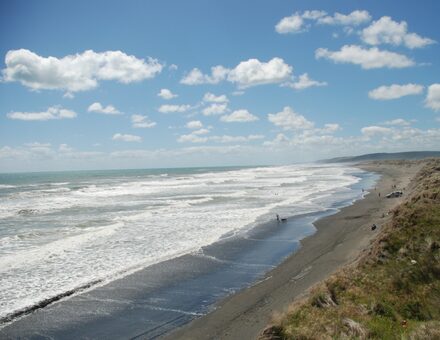 Arohanui Listing Surf Camps