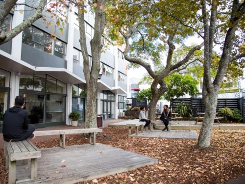 Ymca Hostel Auckland Courtyard Min